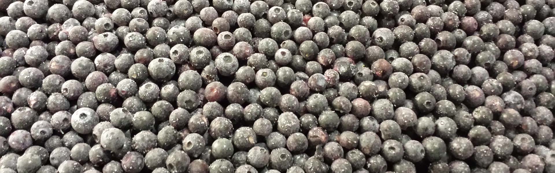 Blueberries
